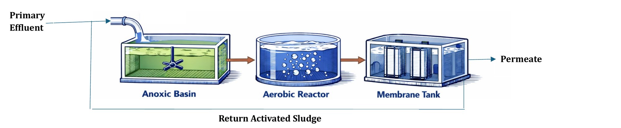 Process diagram of a membrane bioreactor: primary effluent enters an anoxic basin, flows to an aerobic reactor and then to a membrane tank, which produces permeate. Return activated sludge flows from the membrane tank back to the anoxic basin.